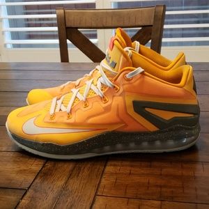 Nike-LeBron 11 Low Floridian